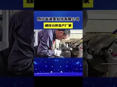 W6Mo5Cr4V2 عناصر پیچ دو پیچ دو پیچ با کیفیت بالا