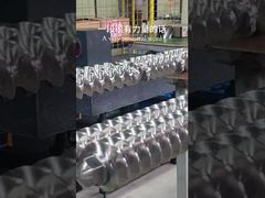 دربرگیرید Spline داخلی دو پیچ Extruder گره برای ماشین 65mm